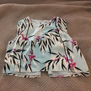 Elizabeth and James Crop Top