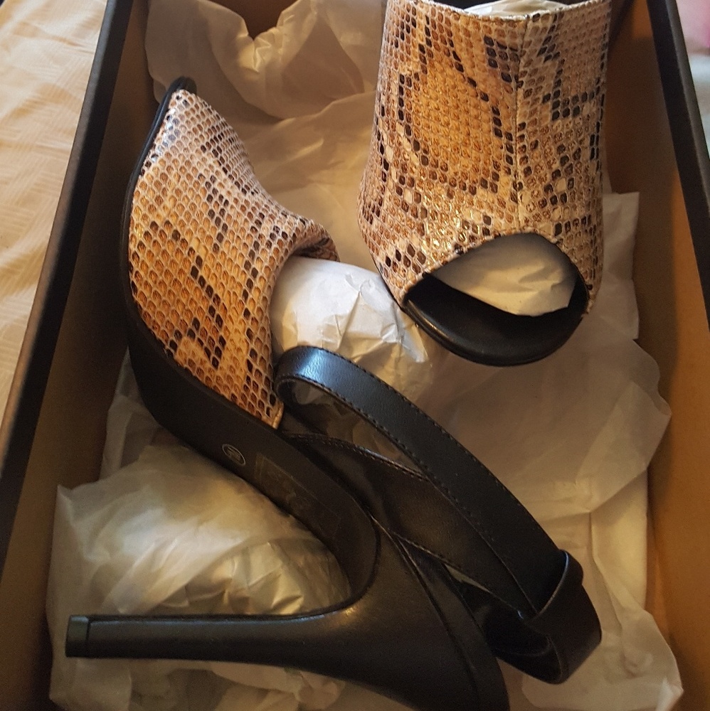 Snake skin heals