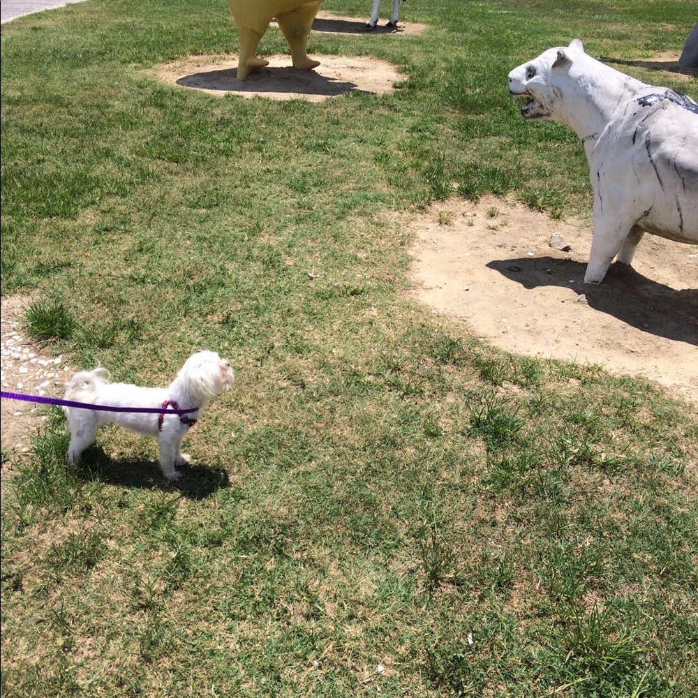 Meet your Posher, Janet