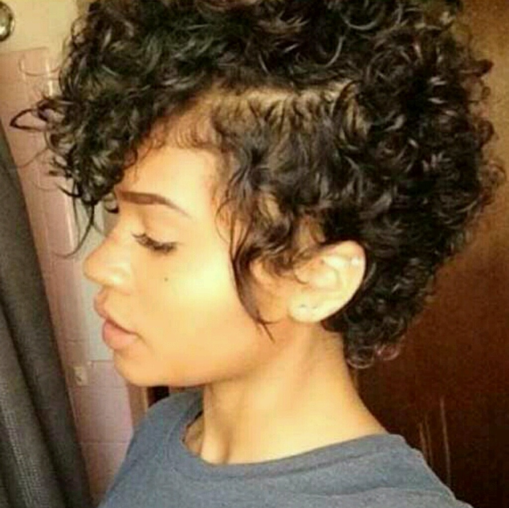 Meet your Posher, Dusty