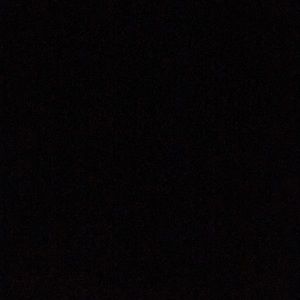 Meet your Posher, Tucker