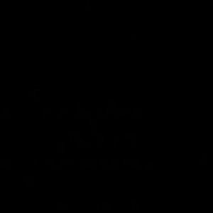 Meet your Posher, Gionel