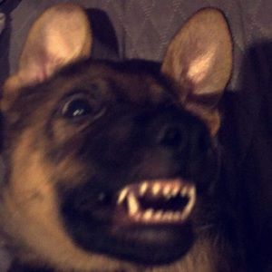 Meet your Posher, Gloria