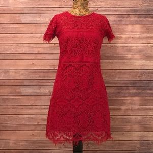 Free People Pink Lace Overlay Dress