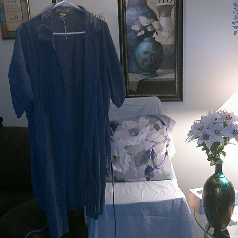 Plus size shirt dress