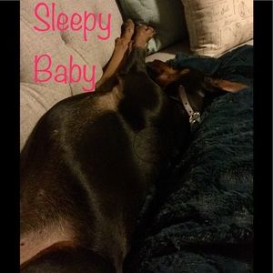 Meet your Posher, Jen