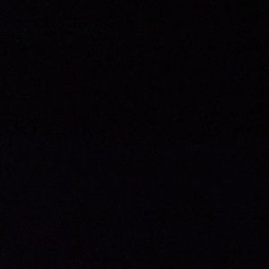 Meet your Posher, Ricky