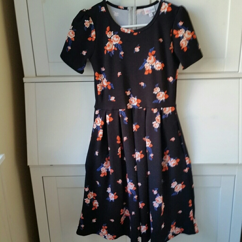 Lularoe floral Amelia dress