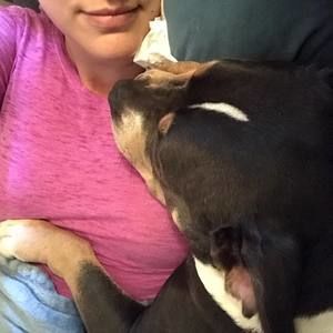 Meet your Posher, Melody