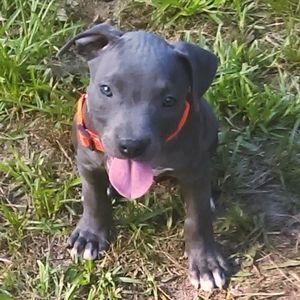 Meet your Posher, Hayden