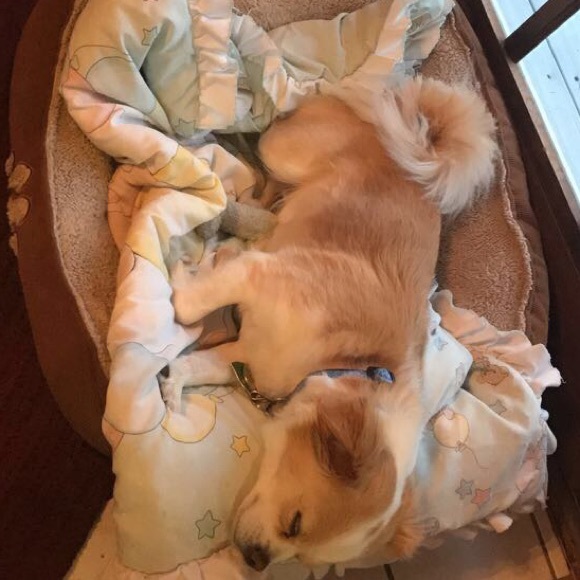 Meet your Posher, Mariah - Picture 1 of 1