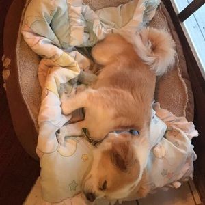 Meet your Posher, Mariah