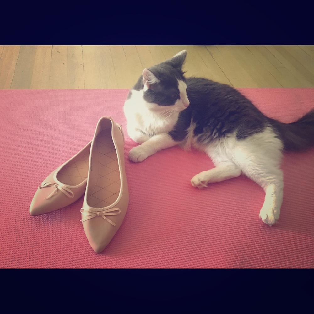 ❌SOLD❌Pink ballerina flats