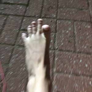 Meet your Posher, Ty