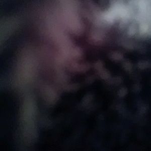 Meet your Posher, Nolan