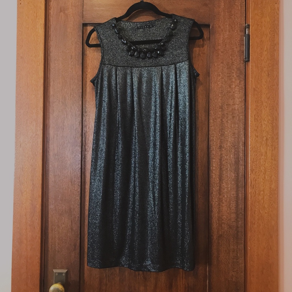 Tiana B Shimmer Dress