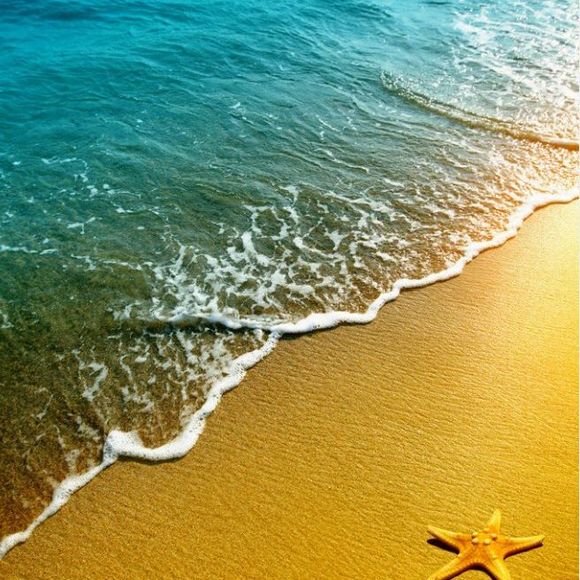 Meet your Posher, Annette - Picture 1 of 1