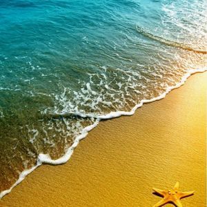 Meet your Posher, Annette