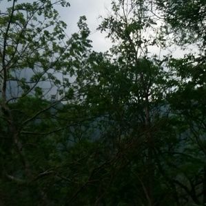 Meet your Posher, Felipe