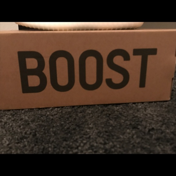 Zebra v2 350 yeezys. Deadstock. Size 9. - Picture 2 of 7