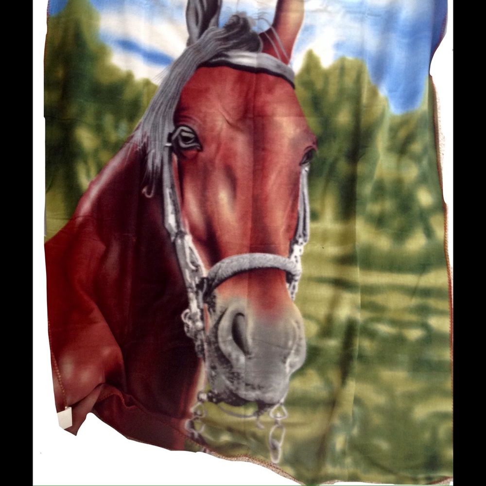 Set of 2 Horse Blanket Throws 🐴