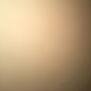 Meet your Posher, Young