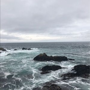 Meet your Posher, Rachael