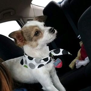 Meet your Posher, Elisa