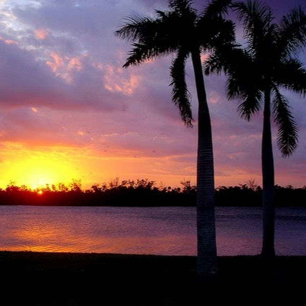 Meet your Posher, Kiana