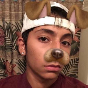 Meet your Posher, Ben