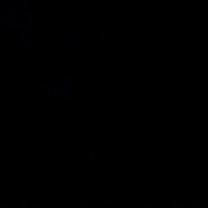 Meet your Posher, Sharita