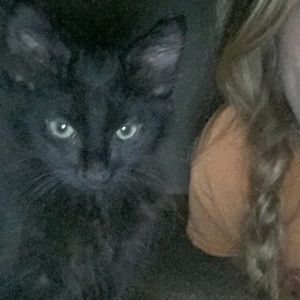 Meet your Posher, Katrina