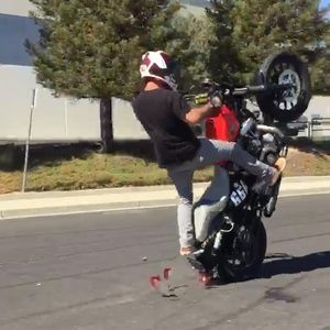 Meet your Posher, Casey