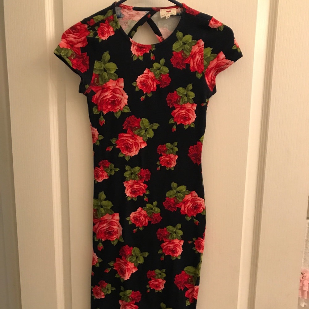 Beautiful Rose printed Dress