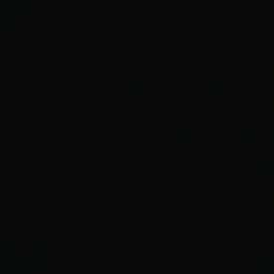 Meet your Posher, Harrison