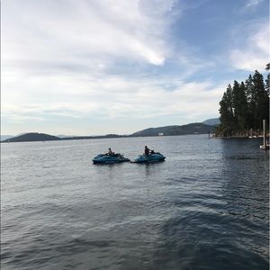 Meet your Posher, Brady