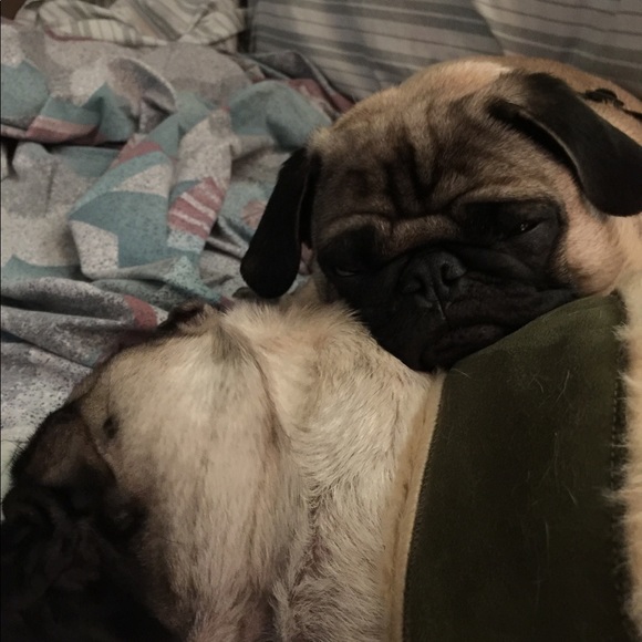 Shots no we don't want to go! - Picture 2 of 4