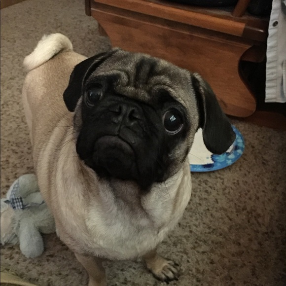 Shots no we don't want to go! - Picture 3 of 4