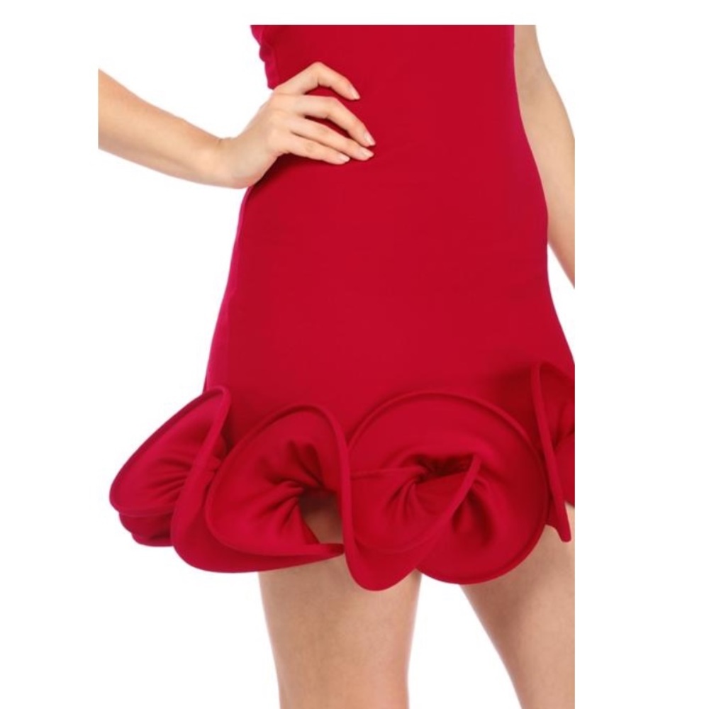 ‼️NWT‼️Red Ruffle Hem dress. (Special Occasion!) - Picture 5 of 8