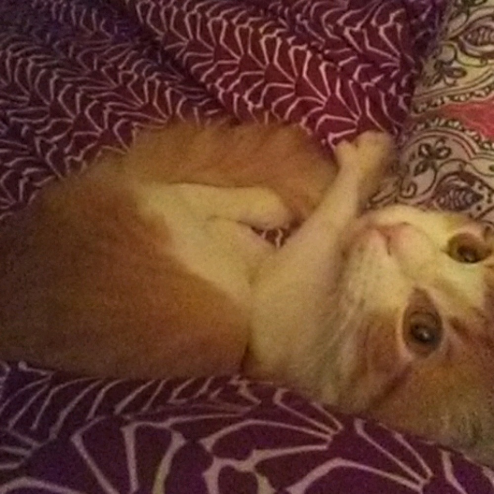 Meet your Posher, Eliza