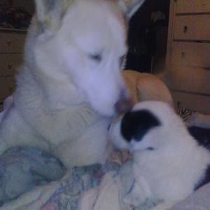 Meet your Posher, Kathy