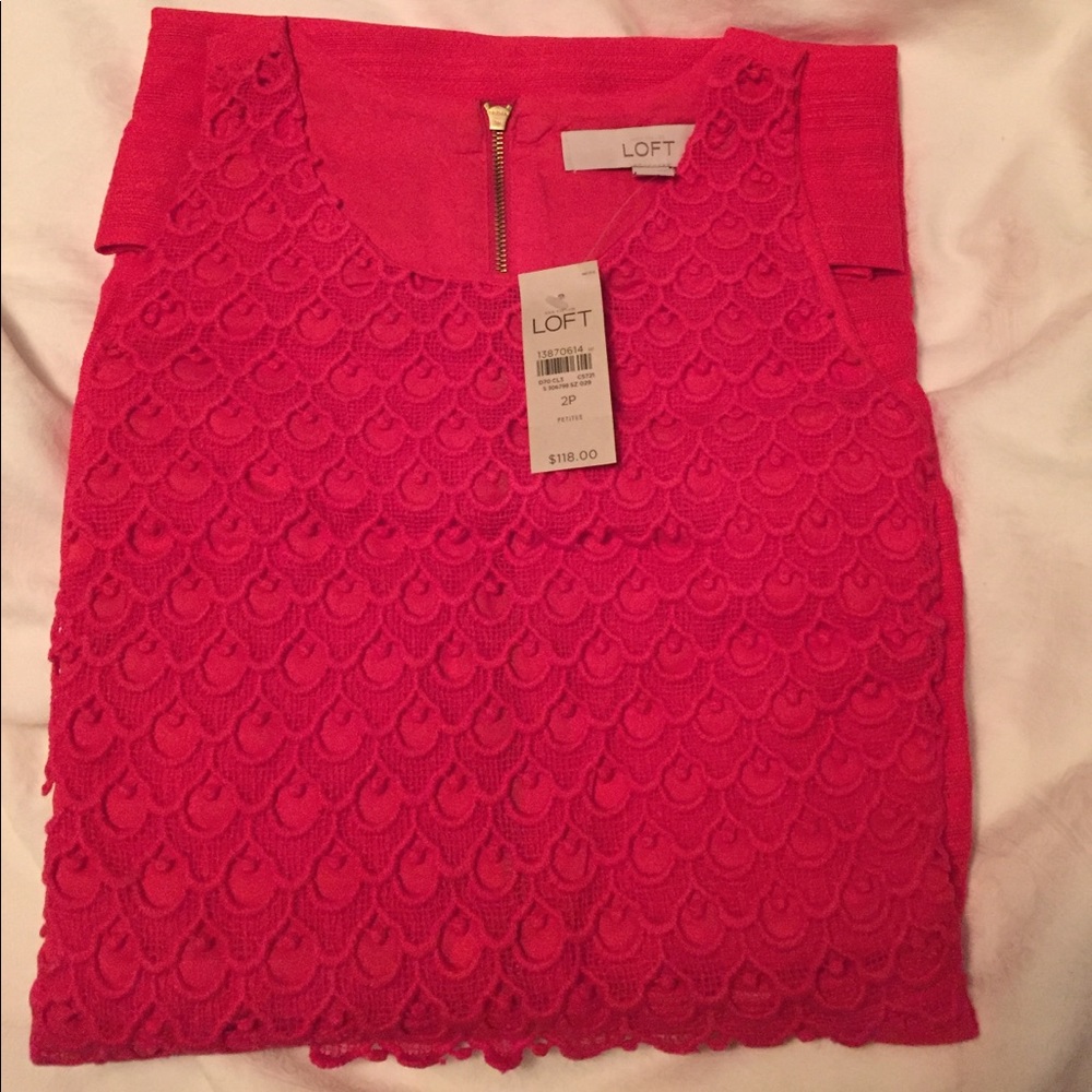 Ann Taylor Loft Dress