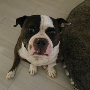 Meet your Posher, Fidel