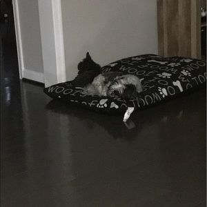 Meet your Posher, Julian