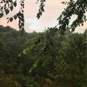 Meet your Posher, Loidrina