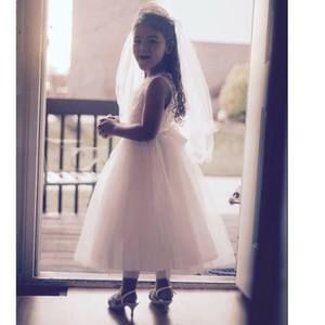 Meet your Posher, Domingo