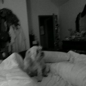 Meet your Posher, Steven