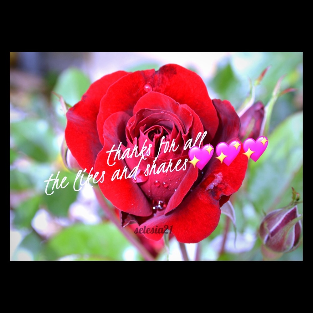 💖💖💖💖😘😘😘🤗🤗🤗