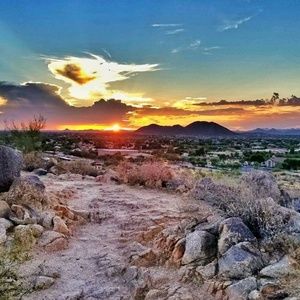 Meet your Posher, Renee