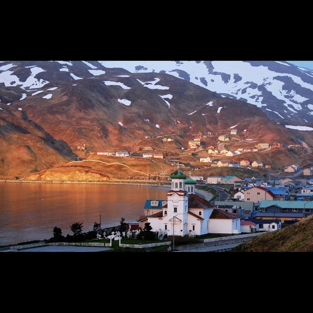 Meet your Posher, Barbara